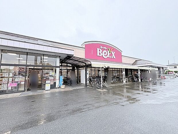 ベルクス岩槻城北店(1100m)