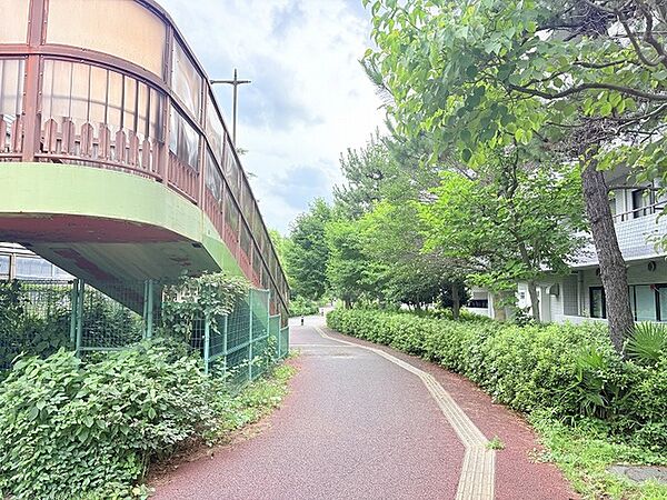 南側歩道（50m）