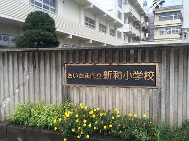さいたま市立新和小学校(1000m)