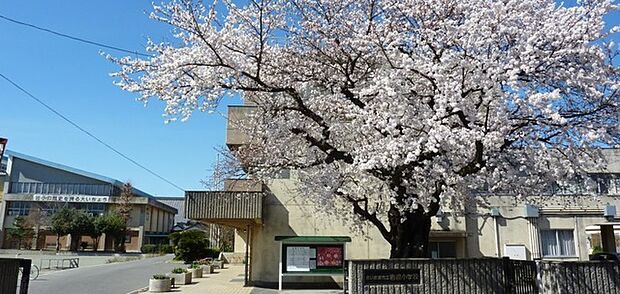 さいたま市立岩槻小学校(960m)