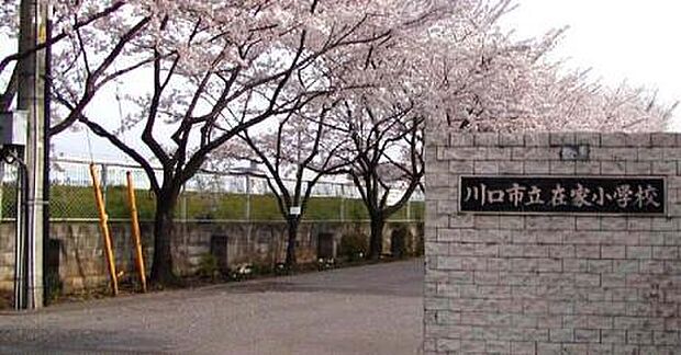 川口市立在家小学校(650m)