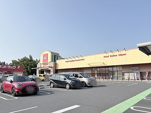 日常の買い物に便利な施設が身近にあり、暮らしの利便性が高まる住環境です。(870m)