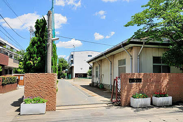 川口市立岸川中学校(516m)