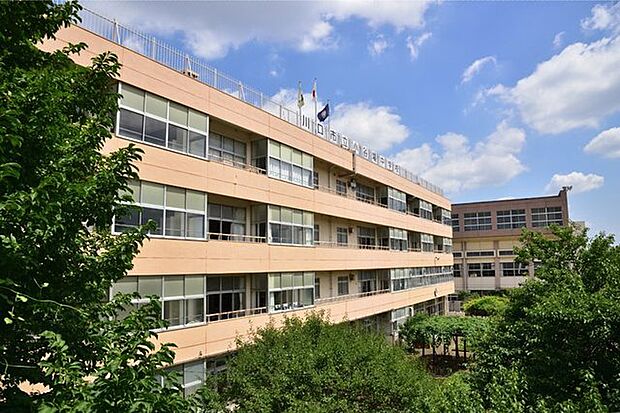 川口市立小谷場中学校(60m)