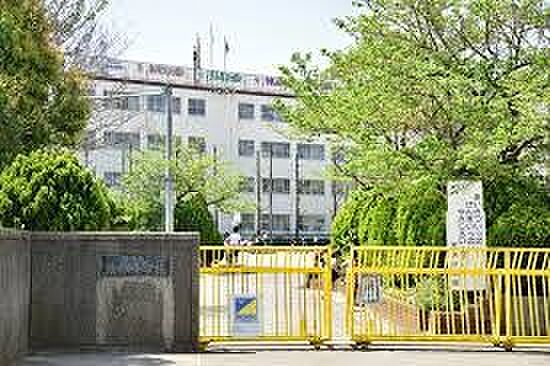 川口市立慈林小学校（1022m）
