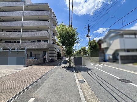 街路樹が心地よい木陰を作り出し、穏やかな時間が流れる落ち着いた住環境です。