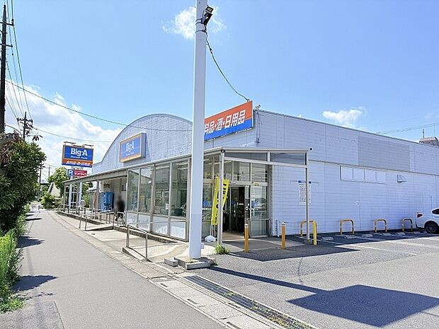 ビッグ・エー 越谷東大沢店(600m)