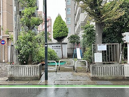 穏やかな緑が日常に寄り添う、心地よい落ち着きを感じさせる住環境