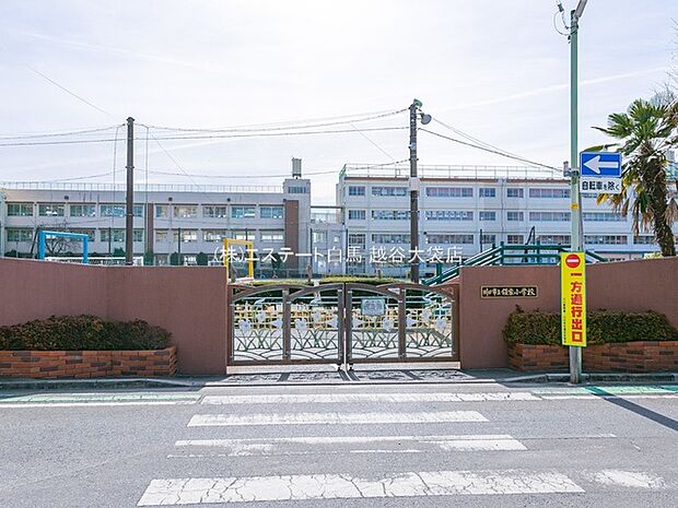川口市立領家小学校(700m)