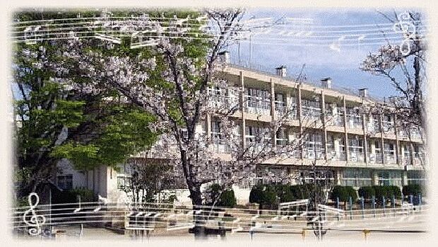 越谷市立大沢北小学校（529m）