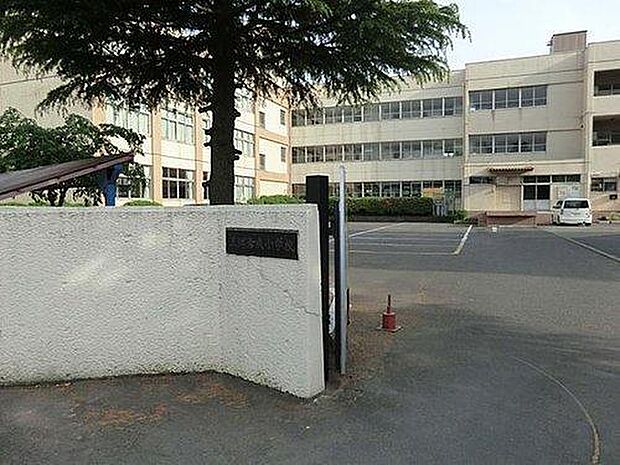 三郷市立彦成小学校(2400m)
