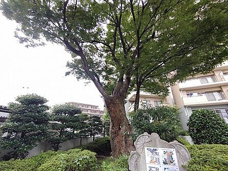 豊かな緑が心地よい木陰をつくりだし穏やかな時間が流れる寛ぎの空間
