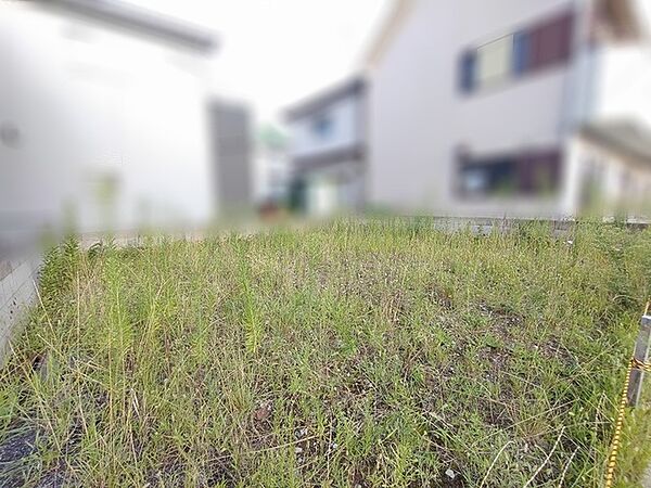 周囲の建物と程よい距離感を保ちながら開放的な空気が広がる敷地です
