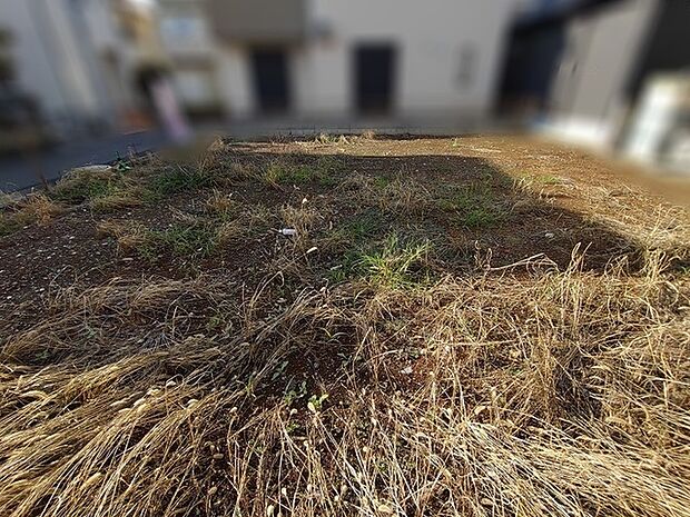 開放感のある空間にこれからの暮らしを描く穏やかな更地です