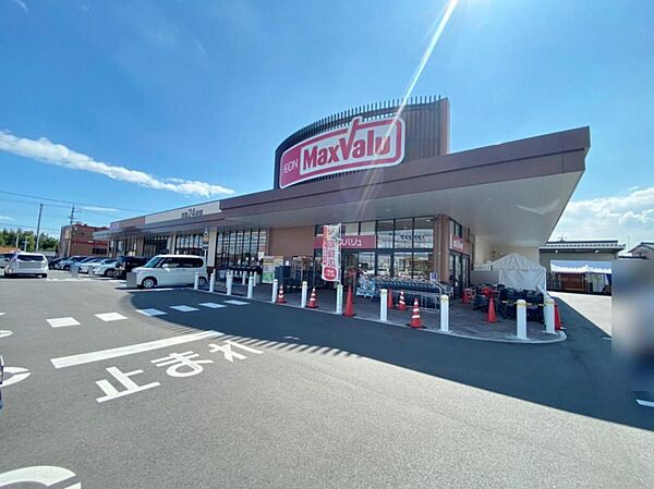 マックスバリュ 西尾新在家店（750m）
