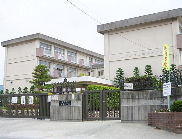 安城市立桜林小学校（1023m）