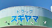 ドラッグスギヤマ 野見山店（650m）