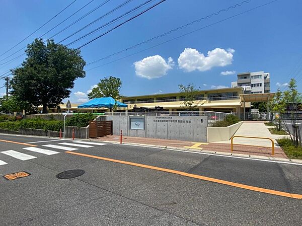周辺を拡大表示