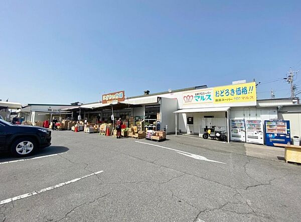 にぎわい市場マルス 西尾店（310m）