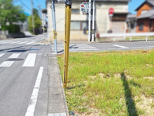 全体区画写真
