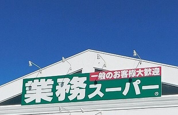 業務スーパー 岡崎店（1010m）