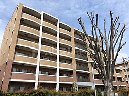 ベルファミーユ高根台II