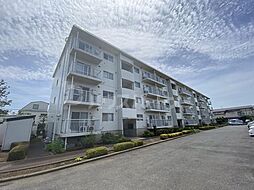 メゾンベルウッド