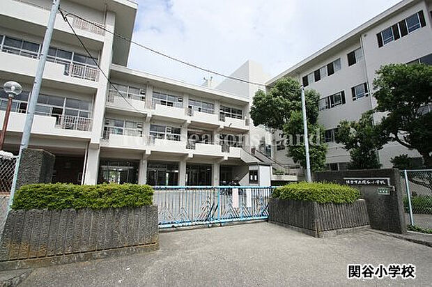 鎌倉市立関谷小学校まで約594m