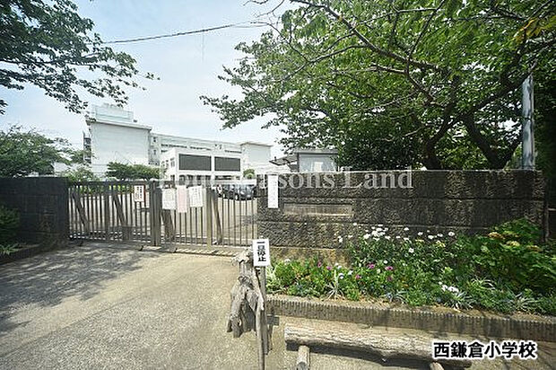 鎌倉市立西鎌倉小学校まで約180m