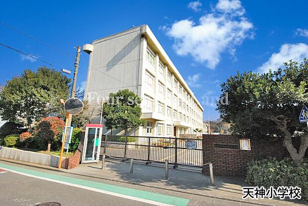 天神小学校まで約880m