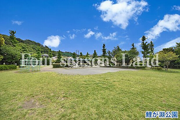 鯉が淵公園まで約101m