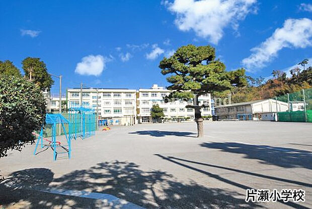 片瀬小学校まで約511m