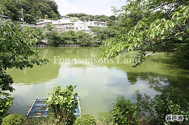 谷戸池まで約58m