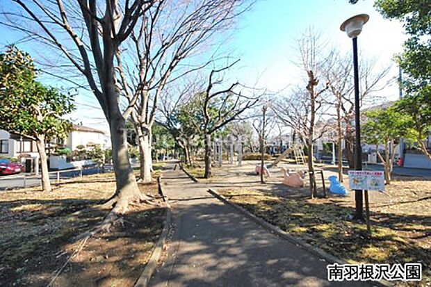 南羽根沢公園まで約553m
