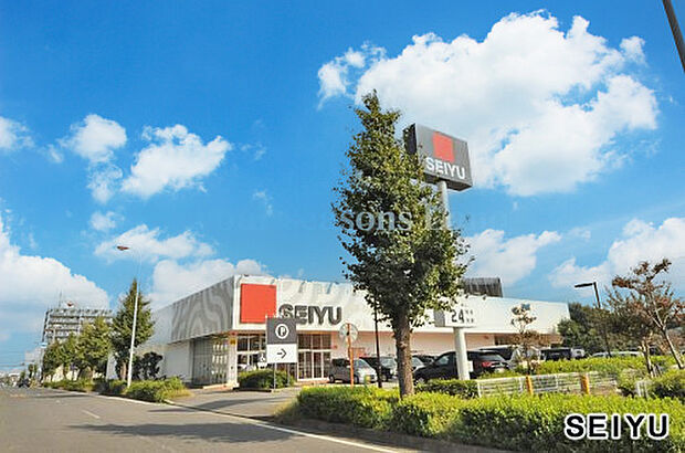 西友石川店まで約794m