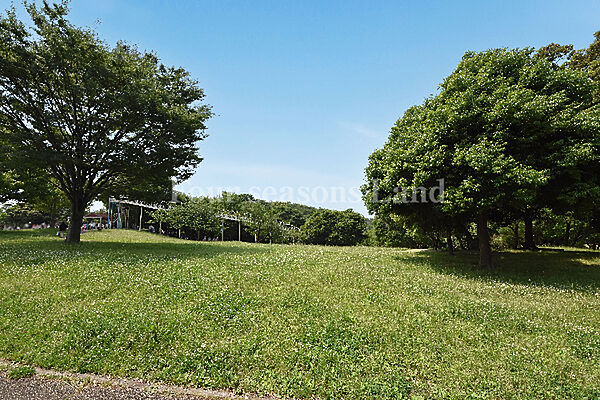 茅ヶ崎里山公園まで約437m