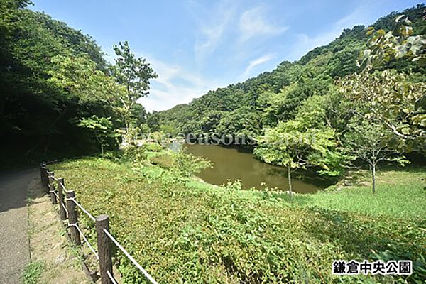 鎌倉中央公園まで約284m