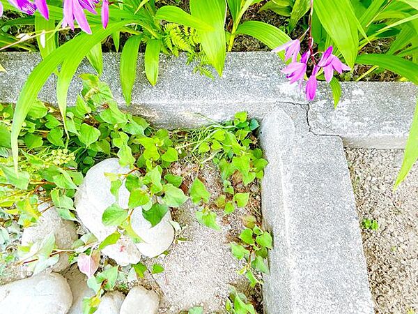 北側の後ろの境界になります。こちらもコンクリートの内側が境界となります。なので、コンクリートは隣地の物となります。