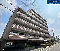 サンクレイドル花小金井 702号室