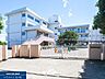 周辺：府中第八中学校 府中市立第八中学校 1800m