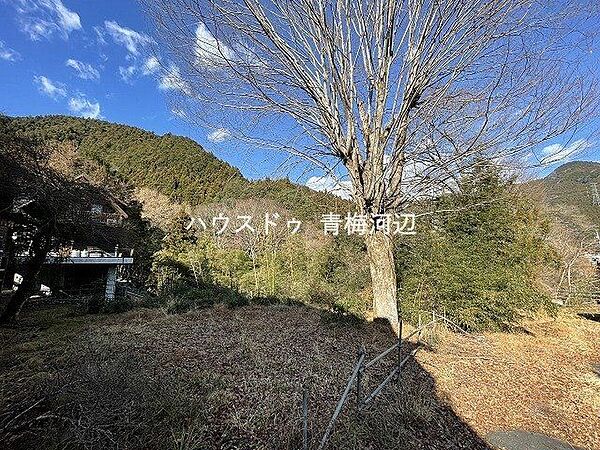 眺望：敷地北側には建物が無く、見晴らしが良い立地です。