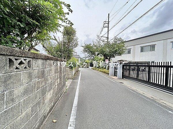 北側前面道路：道路幅にゆとりがあるので、車種を選びません。