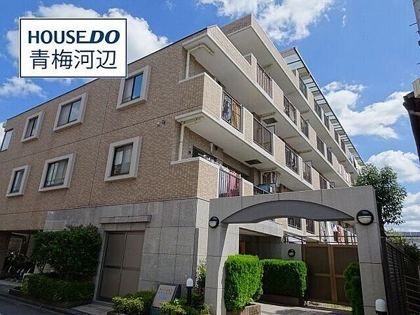 外観：313004694847