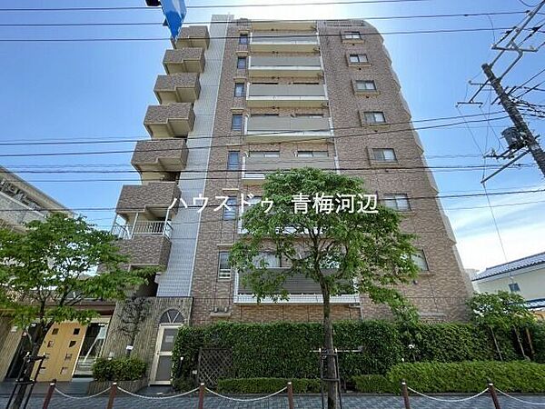 外観：313004713299