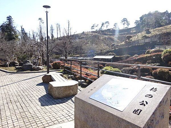 青梅市梅の公園平成26年5月に梅の木が全伐採されましたが、平成28年11月より再植栽を開始し、平成31年2月には約1、200本が植えられました。四季の移ろいを感じられる公園です。 470m