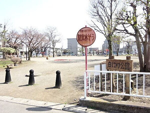 白はけ公園すべり台やブランコ、砂場など遊具があり、公衆トイレや水飲み場も設置されています。また、木や花など豊富で過ごしやすく、お子様が走り回れる広さの公園です。 200m