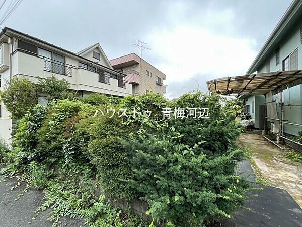 外観：313004838617