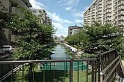 大横川親水公園（50m）
