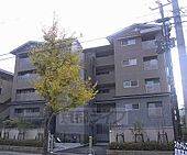 京都市左京区上高野深田町 5階建 築18年のイメージ