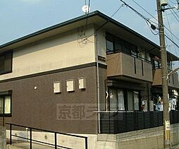 ハイカムール今原